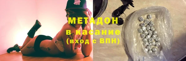 гидра Богданович
