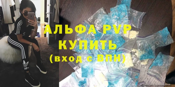 сатива Белокуриха