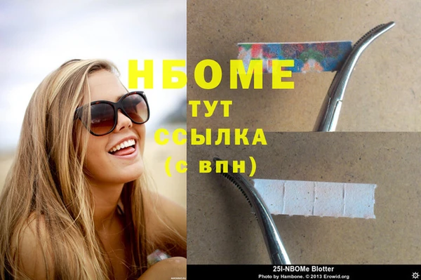 сатива Белокуриха