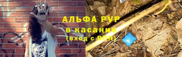 гидра Богданович