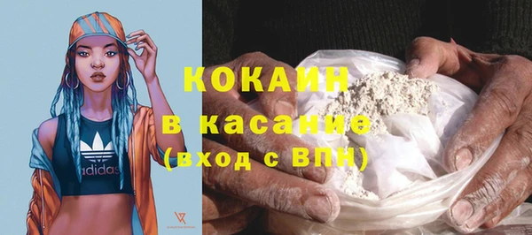 сатива Белокуриха