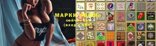 гидра Богданович