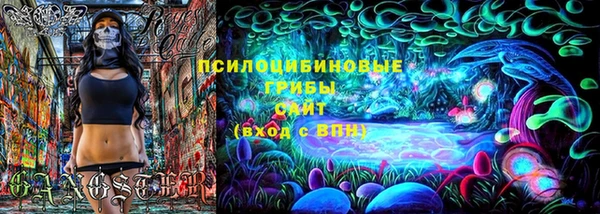 сатива Белокуриха