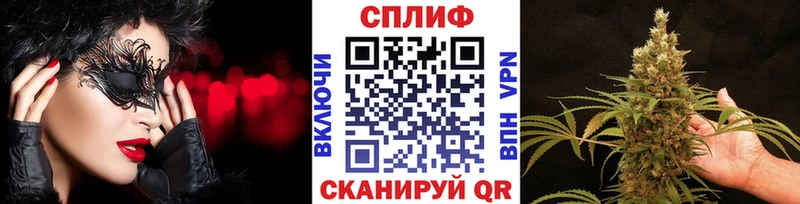 Канабис план  где купить наркотик  Вельск 